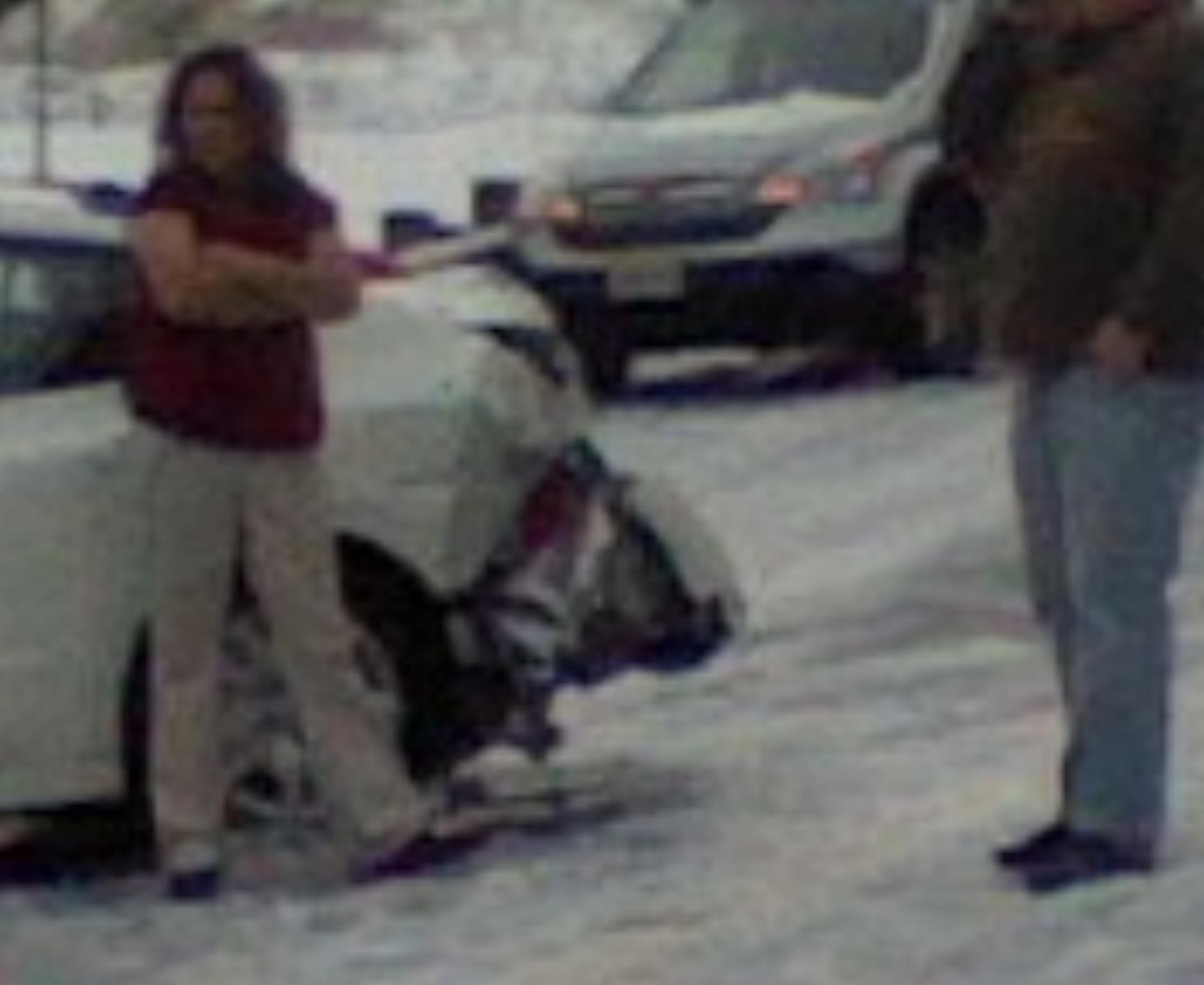 loading Gallery/Action/MVA OregonMtn 5apr2012/fullsize/0405121728a959073.jpg... or select a thumbnail